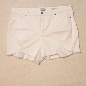Sofia Jeans by Sofia Vergara Lila shorts